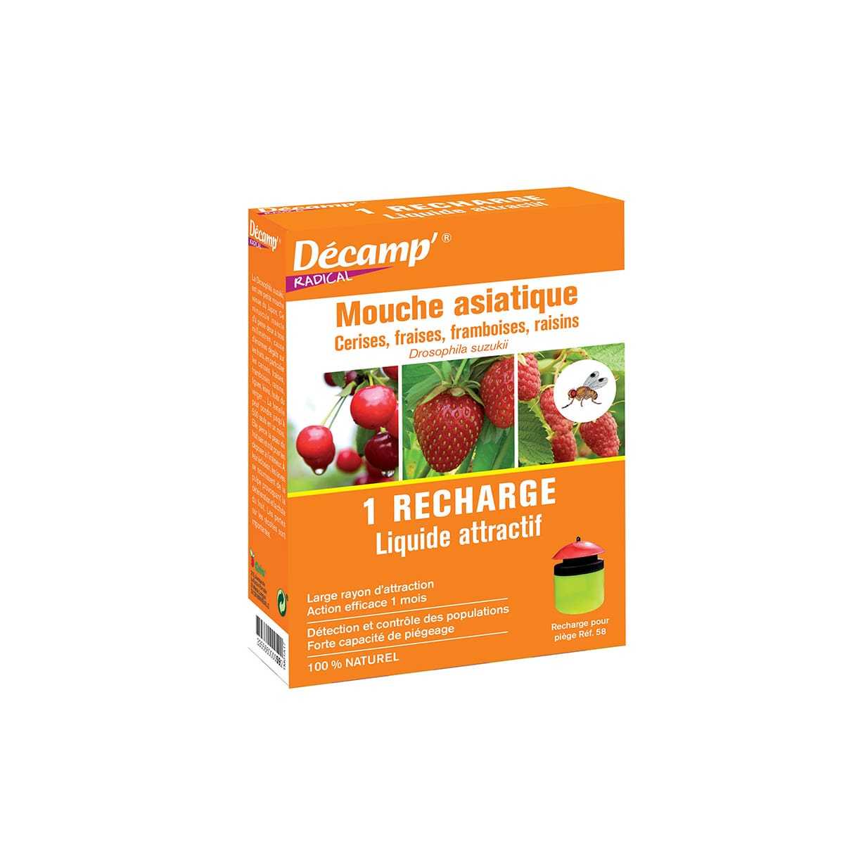 liquide attractif piege mouches asiatiques