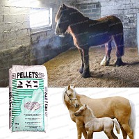 Litière pour chevaux en pellets de paille de froment