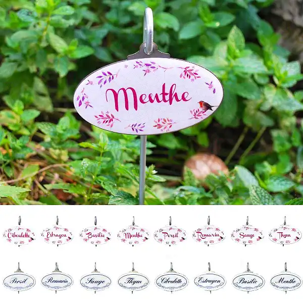 lot etiquettes aromatiques jardin
