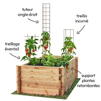 Lot de 4 tuteurs légumes et plantes