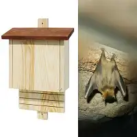 Nichoir chauve souris en bois