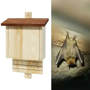 Nichoir chauve souris en bois