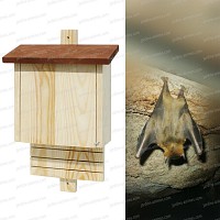 Maison abri à Chauves Souris
