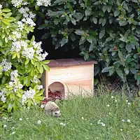 Abri refuge pour hérisson en bois FSC