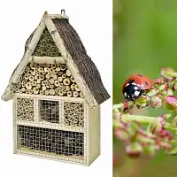 Maison hotel à insectes en pin et bouleau