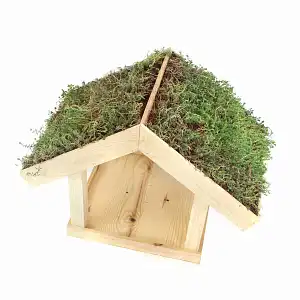 Mangeoire oiseaux en bois avec toit végétalisé