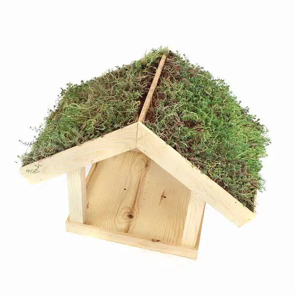 maison mangeoire oiseaux  maison mangeoire oiseaux