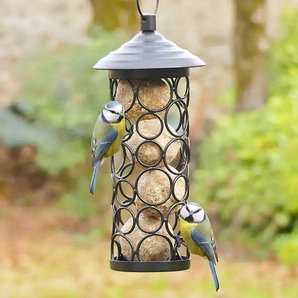 mangeoire NM512 petillante