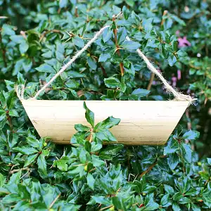 Mangeoire pour coccinelles en bambou