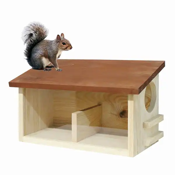 mangeoire abri ecureuil mangeoire abri ecureuil