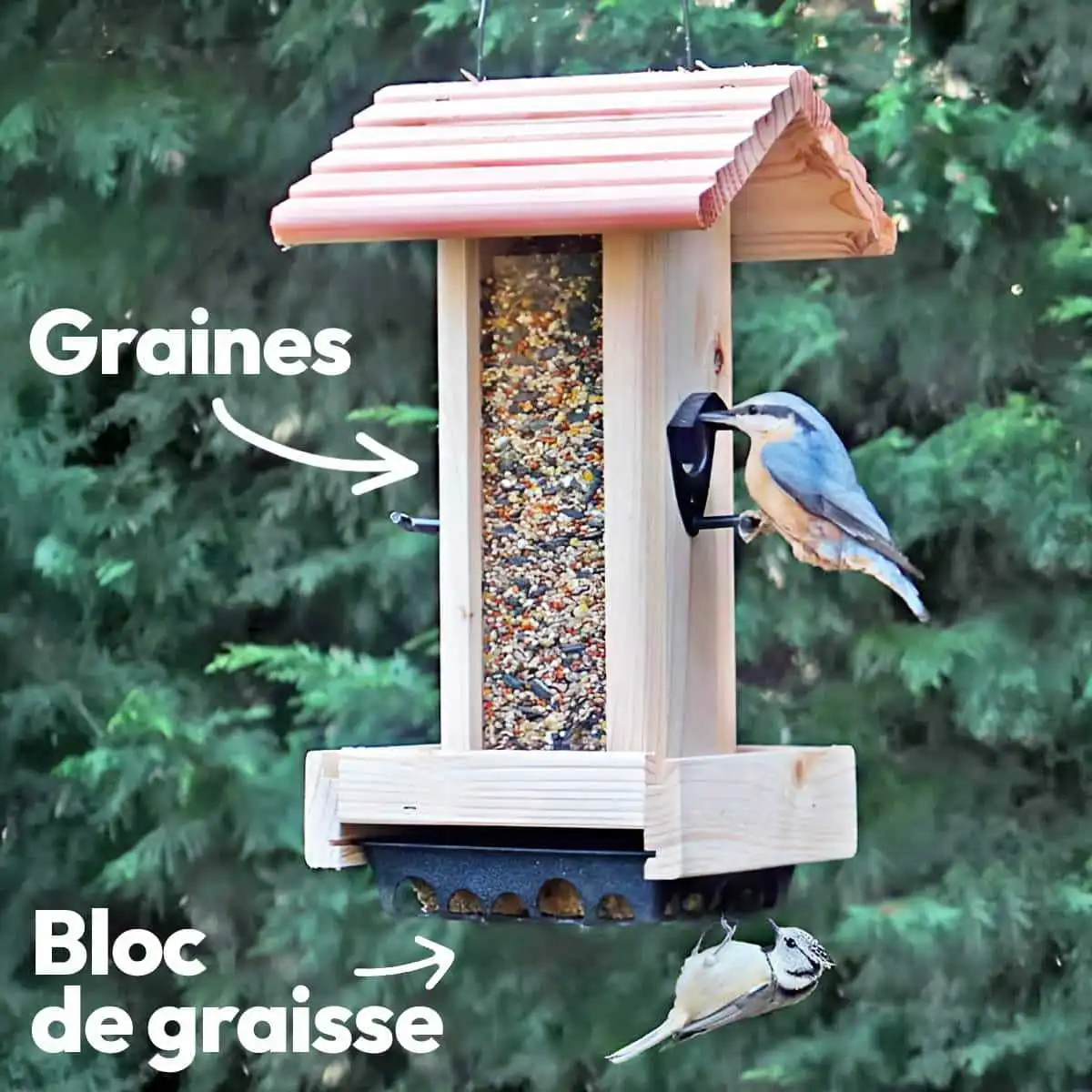 Mangeoire pour oiseaux en bois PEFC - Perchoirs, silo et réservoir à bloc de graisse  Mangeoire pour oiseaux en bois PEFC - Perchoirs, silo et réservoir à bloc de graisse