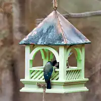 Mangeoire à oiseaux Bempton - toit en cuivre