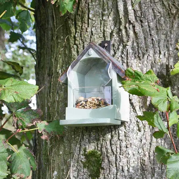 mangeoire ecureuil arbre mangeoire ecureuil arbre