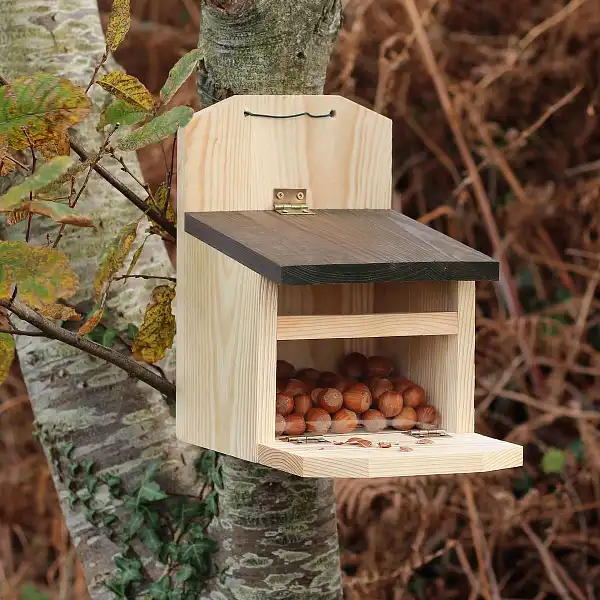 mangeoire ecureuil bois arbre