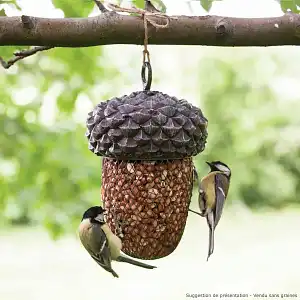 Mangeoire pour oiseaux à suspendre - Gland Haut. 22cm