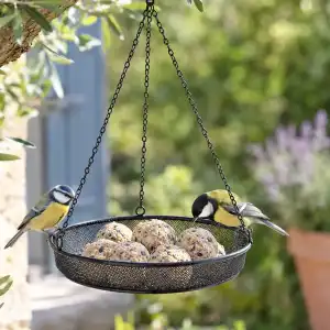 Mangeoire oiseaux suspendue - Soucoupe pour cage anti-gloutons D.26,5cm