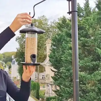 Poteau accroche mangeoire balcon