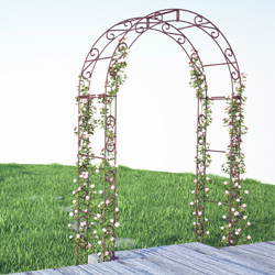 Arche de jardin élégante en métal