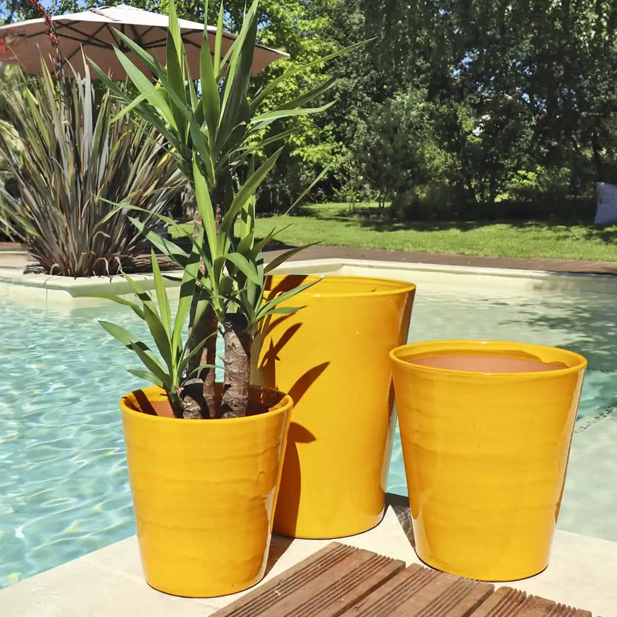 Portrait d'Artisan : Les Poteries d'Albi