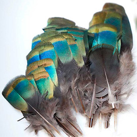 Bijoux Fleur de Plumes