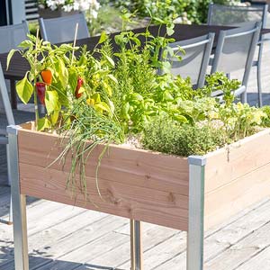 Bac de culture sur pied en bois pour plante potagère et aromatiques Bac de culture sur pied en bois pour plante potagère et aromatiques