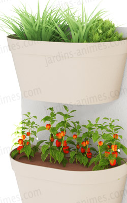 Installez plantes ou potager contre un mur
