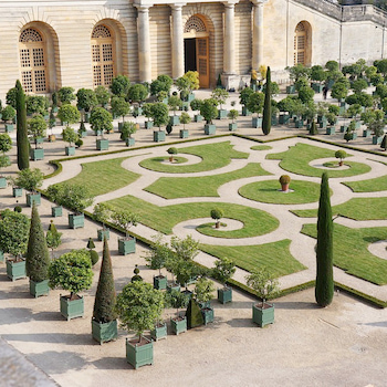 Bac à oranger dans les jardins du château de Versaille