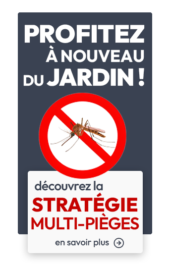 La stratégie efficace et multi pièges, contre les moustiques au jardin
