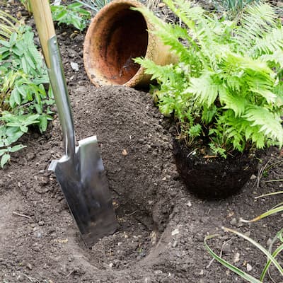 Pelle beche pro - No Gfgs2fd Garant - Nos produits horticoles et de  jardinage - Jardin2m