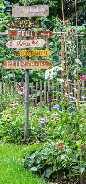 Biodiversité dans le jardin et le potager