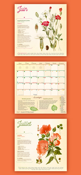 Calendrier 2026 pour les plantations du potager Calendrier 2026 pour les plantations du potager