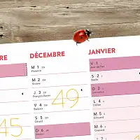 Calendrier des traitements BIO au jardin