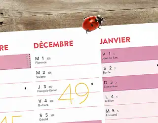 Calendrier des traitements BIO au jardin