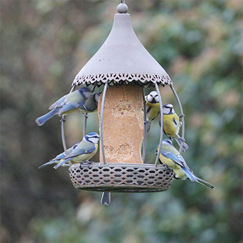 Mangeoire Carrousel 2 en 1 pour cylindre et/ou graines