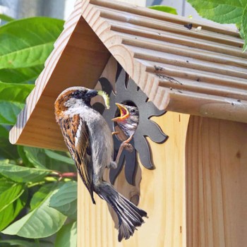 Nichoir et mangeoire oiseau