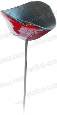 Coquelicot decoratif Coquelicot decoratif