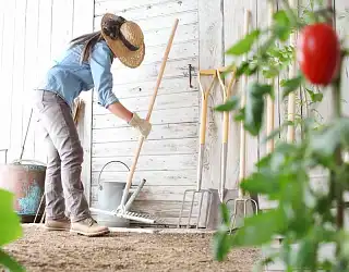 Le guide des outils de jardinage