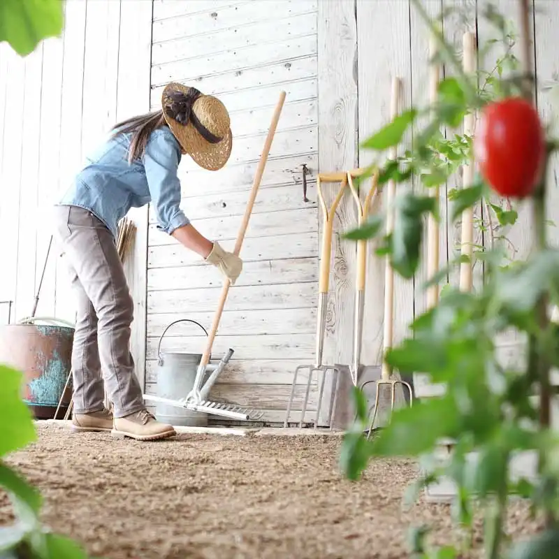 Le guide des outils de jardinage