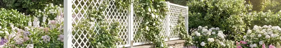 Cloture &agrave; la finition irr&eacute;prochable pour magnifier vos ext&eacute;rieurs