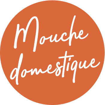 Solutions anti mouches domestiques