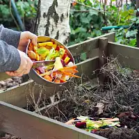 Les biodéchets : comment les trier et les composter ?