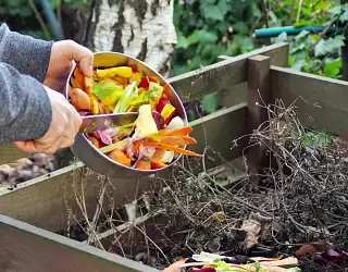 Les biodéchets : comment les trier et les composter ?