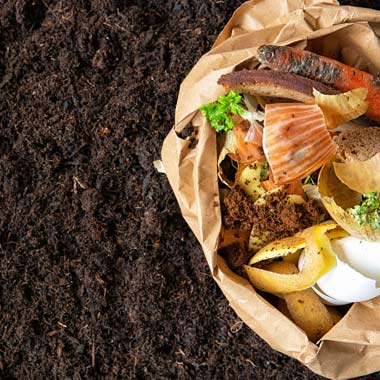 Composter ses épluchures de légumes et déchets de cuisine