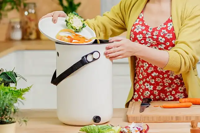 Bokashi ou compost japonais, qu'est-ce que c'est ?  Bokashi ou compost japonais, qu'est-ce que c'est ?