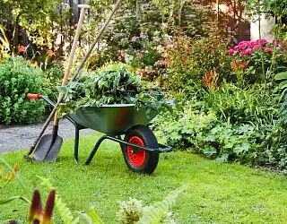 Fiches conseils Jardinage