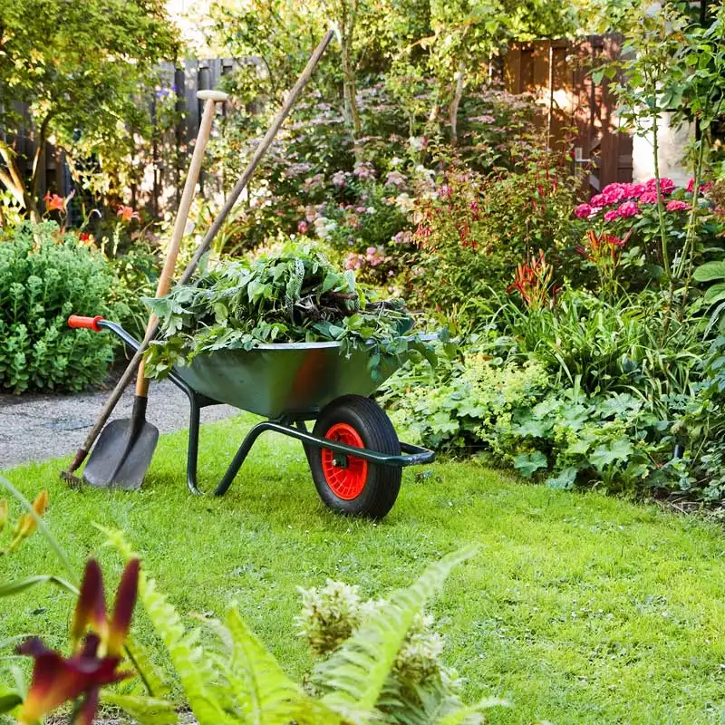 Fiches conseils Jardinage