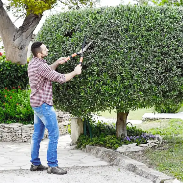 L'APA une aide pour les seniors pour leur travaux de jardin et aide &agrave; domicile