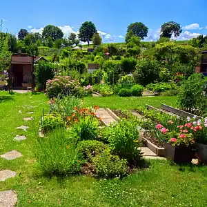 Les 15 gestes éco-responsables au jardin pour respecter la nature