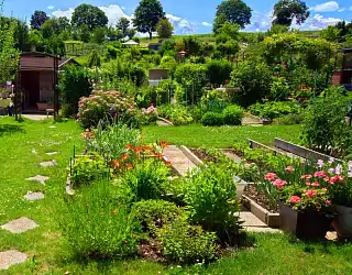 Les 15 gestes éco-responsables au jardin pour respecter la nature