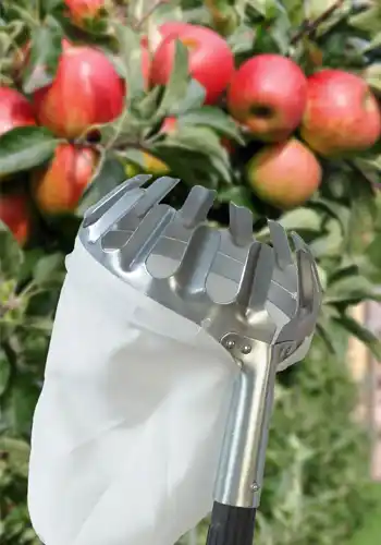 Cueille fruit t&eacute;lescopique